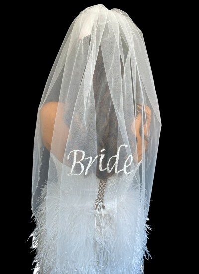 Embroidered bridal veil, handwritten bridal veil, "Bride" script bridal veil, henna night and wedding veil.