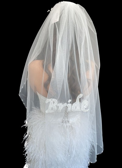 Embroidered bridal veil, handwritten bridal veil, "Bride" script bridal veil, henna night and wedding veil.