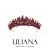 Henna Crown Bridal Wedding Henna Design Special