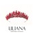 Henna Crown Bridal Wedding Henna Design Special