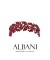 Crystal Stone Hair Accessories Models Wedding Henna Engagement Bride