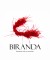 Bridal Hair Accessories Models Henna Beaded Hair Bands