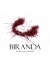 Burgundy Feather and Beaded Wing Hair Accessories