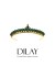 Bridal Henna Crown Models Design Wedding Engagement