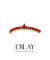 Bridal Henna Crown Models Special Design Trend