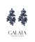 Galata Zircon Stone Earrings Honey Wedding Wedding Bridal Engagement Accessories