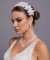 Bridal Hair Accessories Models Special Design Wedding Hair Crown