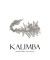 Kalimba Special Design Zircon Stone Double Sided Hair Accessories