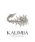 Kalimba Special Design Zircon Stone Double Sided Hair Accessories