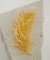 Crystal Stone Hair Accessories Models Wedding Henna Engagement Bride